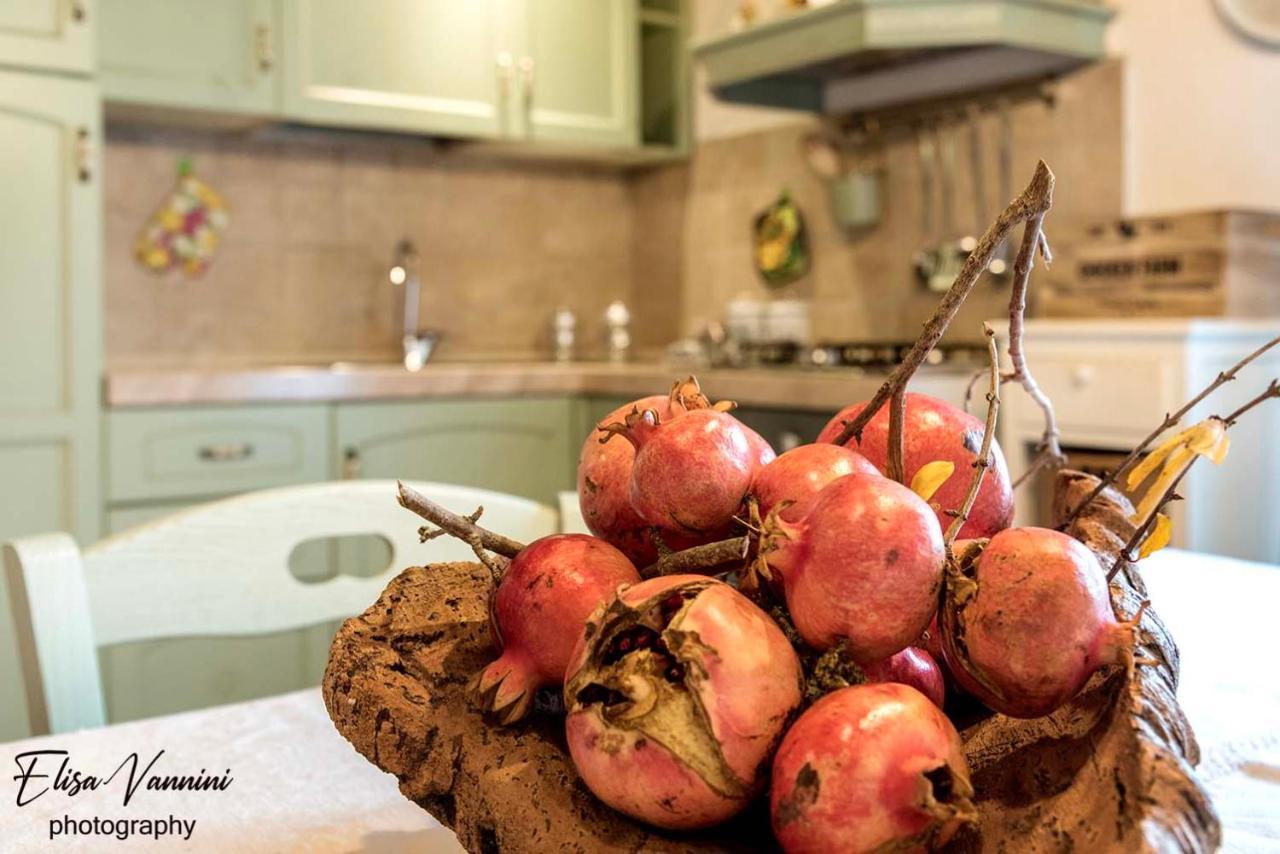 A Casa Di Titta Villa Terricciola Bagian luar foto